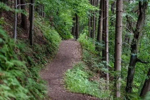 礦山草莓视频污在线熱點3