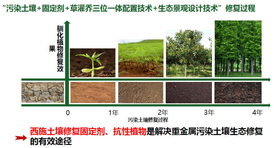 技術創新