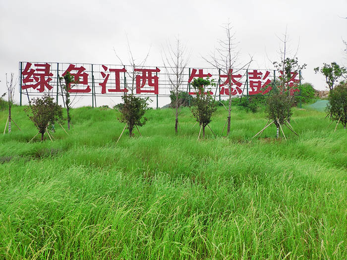 江西彭澤縣馬當鎮子磯頭廢棄礦山生態環境恢複治理工程項目