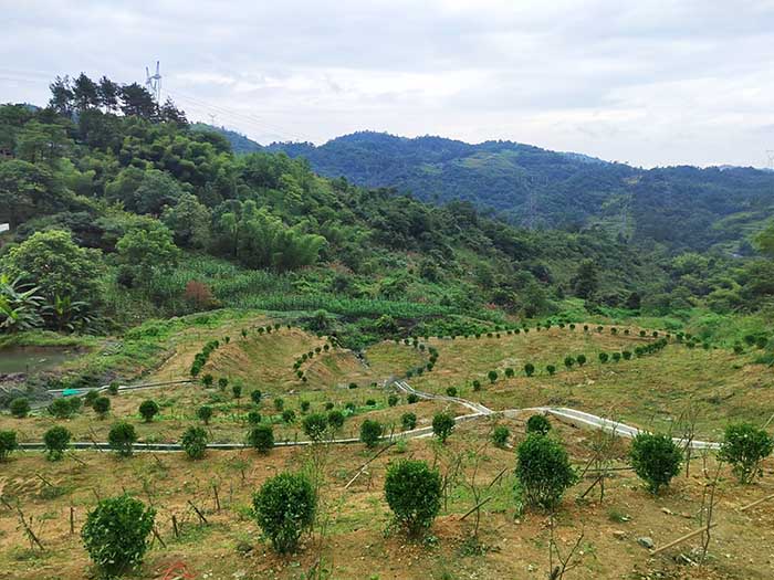 富木山曆史采礦點施工後