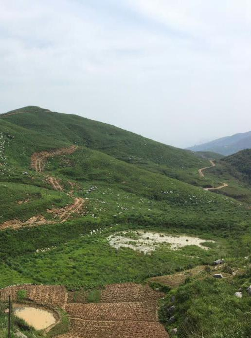 湖南省冷水江市錫礦山地區生態草莓视频污在线項目