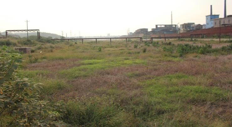 常寧市水鬆地區土壤治理及生態建設項目